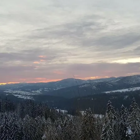 Modrzew - Dwor Bogdalow